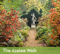 The Azalea Walk